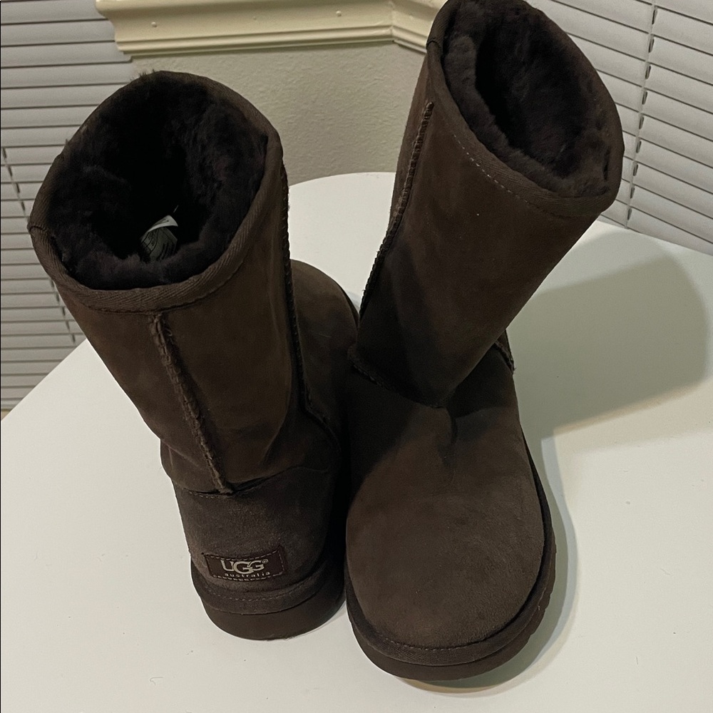 UGG Brown Winter Boots